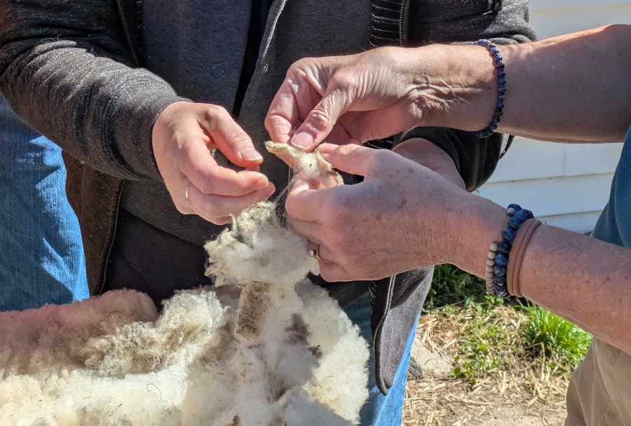 The Ultimate Fiber Lover’s Field Trip Image
