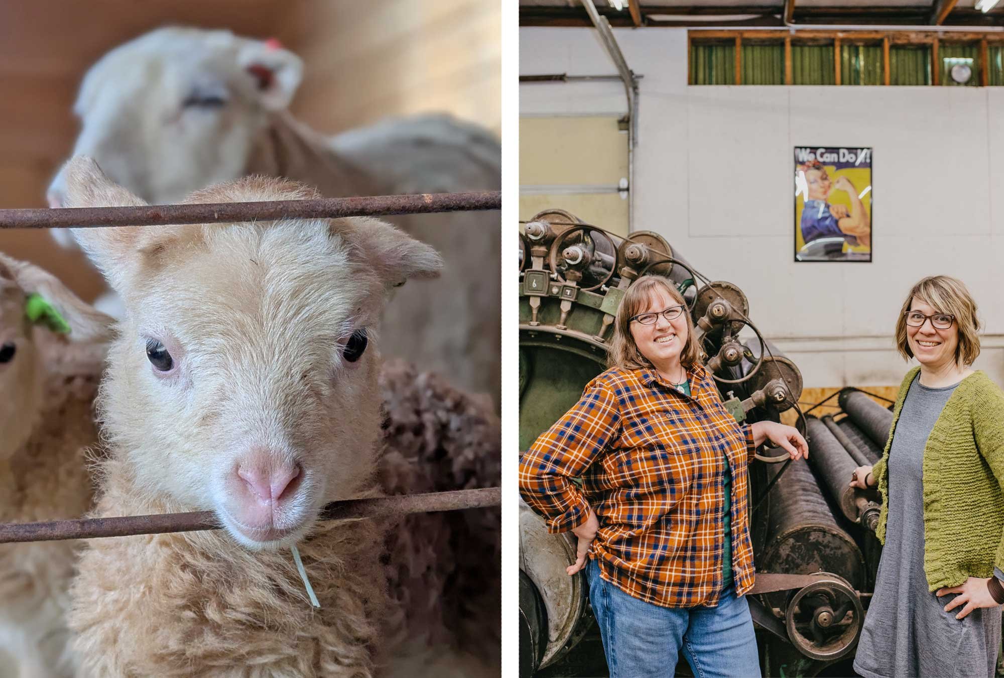 Experience Shearing to Millspun Skein with the Farm & Fiber Knits Retreats Image